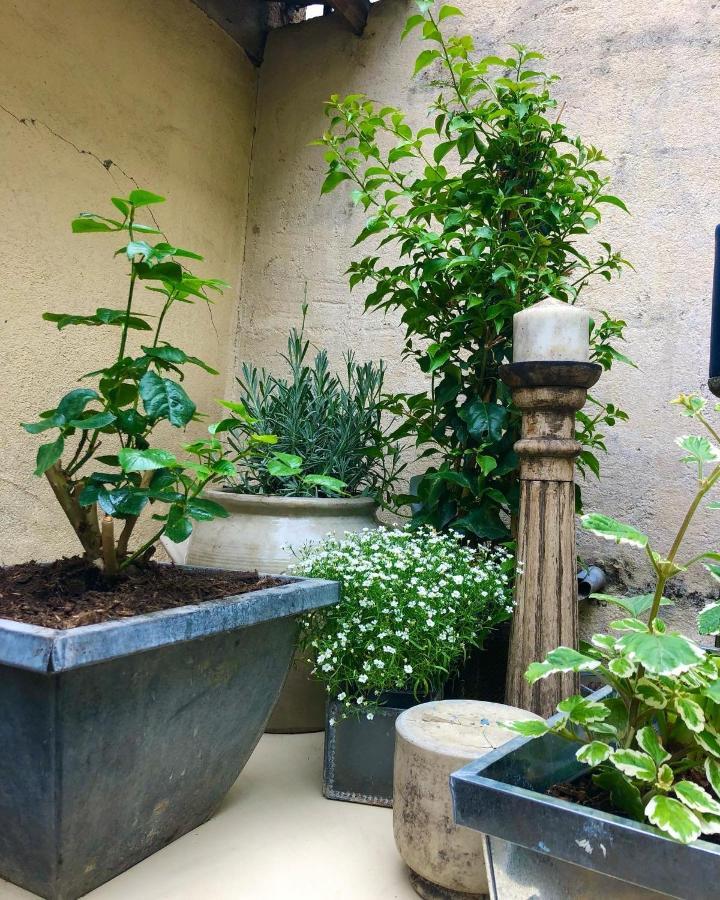 Apartment Le Jardin Wilson *