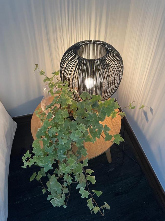 Le Jardin Wilson Apartment *